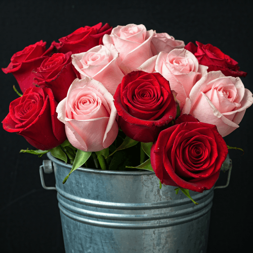 Frische Schnittblumen in verschiedenen Farben